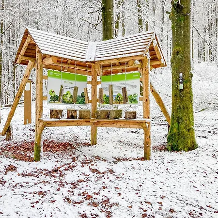 Alte Schule Luxury Winterberg