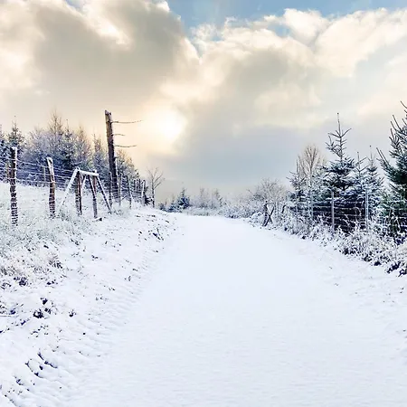 Luxury In Der Alten Schule