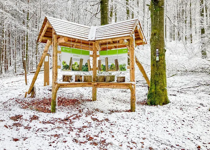 Luxury In Der Alten Schule Winterberg