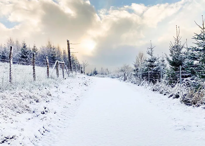 Luxury In Der Alten Schule