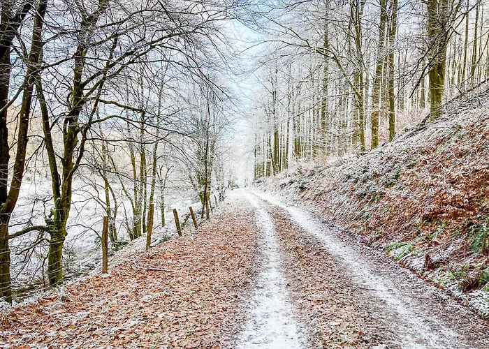 Luxury In Der Alten Schule Apartment *